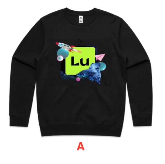 Crewneck Sweatshirt (Copy)